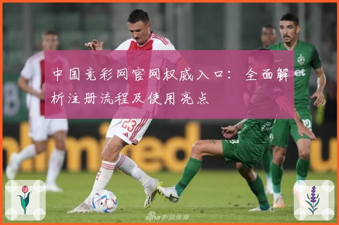 中国竞彩网官网权威入口：全面解析注册流程及使用亮点