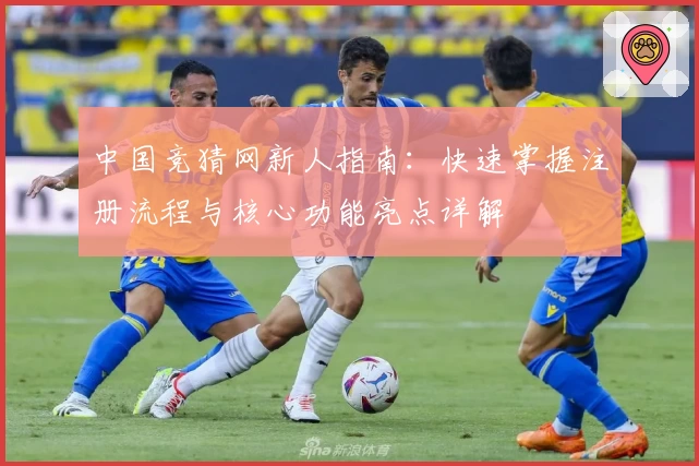 中国竞猜网新人指南：快速掌握注册流程与核心功能亮点详解