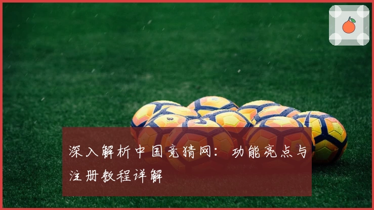 深入解析中国竞猜网:功能亮点与注册教程详解
